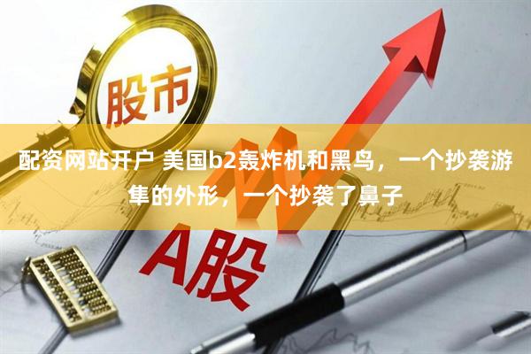 配资网站开户 美国b2轰炸机和黑鸟，一个抄袭游隼的外形，一个抄袭了鼻子