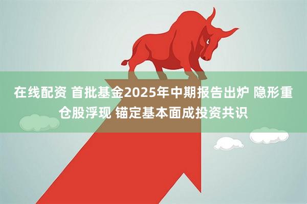在线配资 首批基金2025年中期报告出炉 隐形重仓股浮现 锚定基本面成投资共识